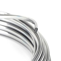 Chromen bies voor kaartentas Fiat 124 Spider (32cm) Chromen bies voor kaartentas Fiat 124 Spider (32cm)