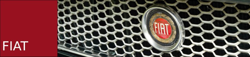 Fiat Dino Spider/Coupe- pièces détachées