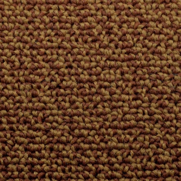 Carpet Pattern Brown/Beige Loop Material Sample "B69